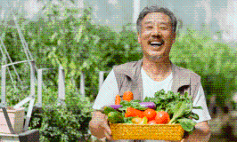 产业普惠贷款